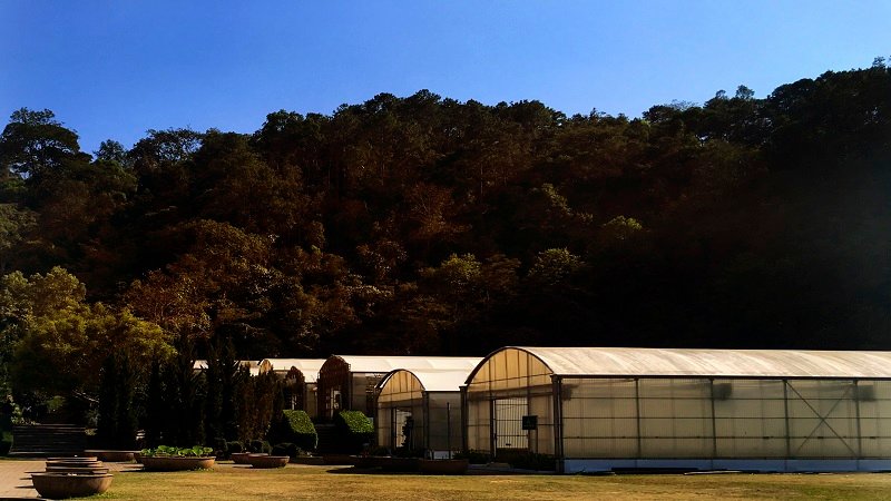 Green House Black Trim